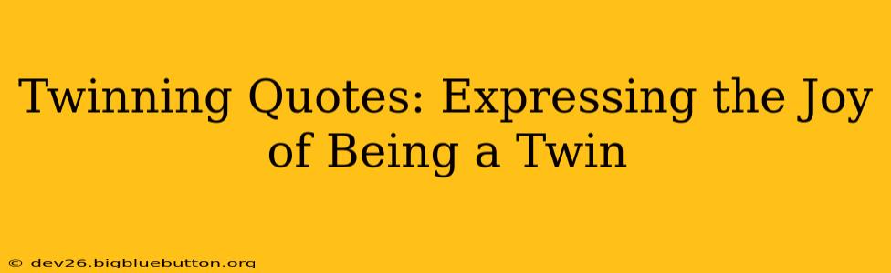 Twinning Quotes: Expressing the Joy of Being a Twin