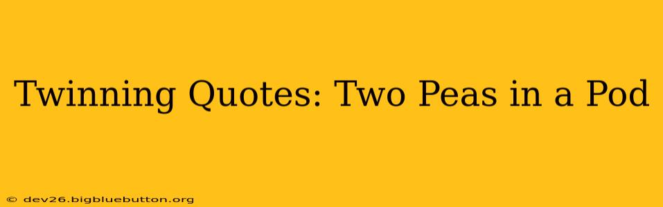 Twinning Quotes: Two Peas in a Pod