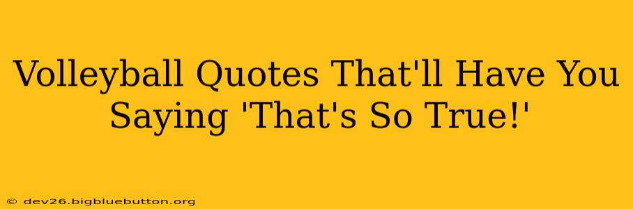 Volleyball Quotes That'll Have You Saying 'That's So True!'