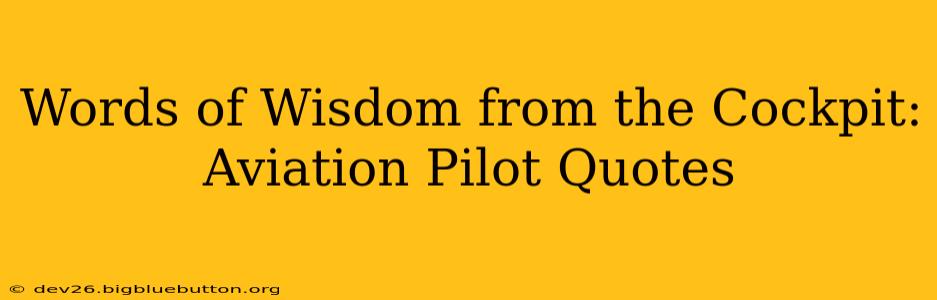 Words of Wisdom from the Cockpit: Aviation Pilot Quotes