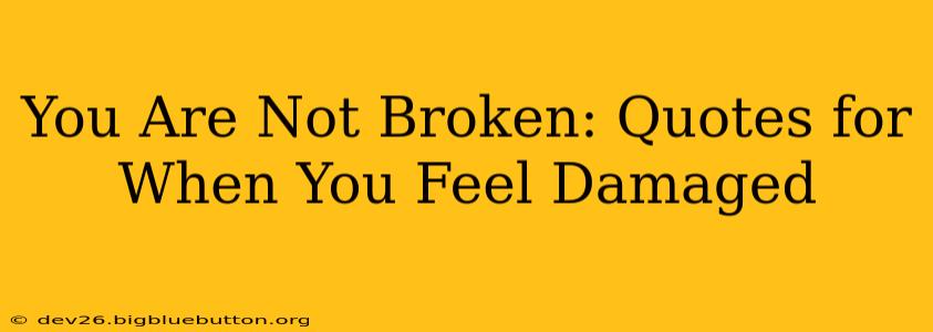 You Are Not Broken: Quotes for When You Feel Damaged